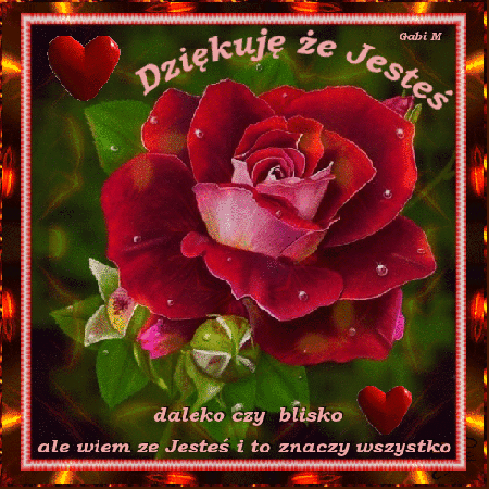 Kwiat róży z podziękowaniem